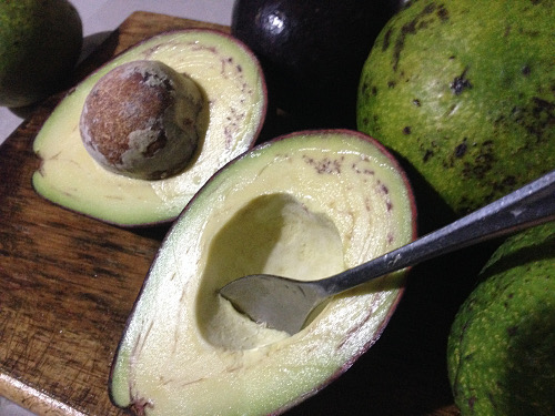 Avocado (අලිගැට පේර) 1kg – 0762 655 255