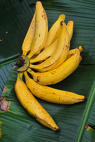 banana-netram-palam-1kg-0762-655-255